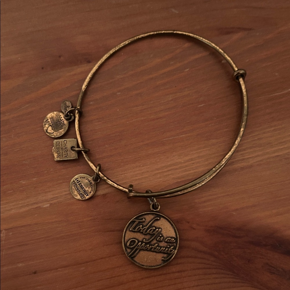 Alex and Ani Charm Bangle Bracelet